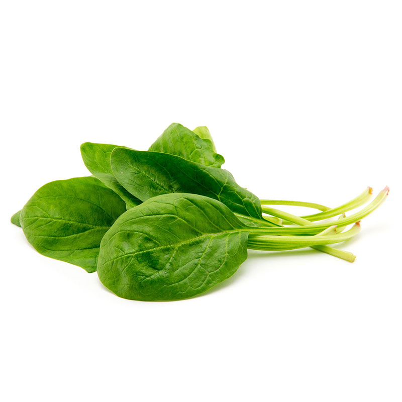 Risultati immagini per spinacini